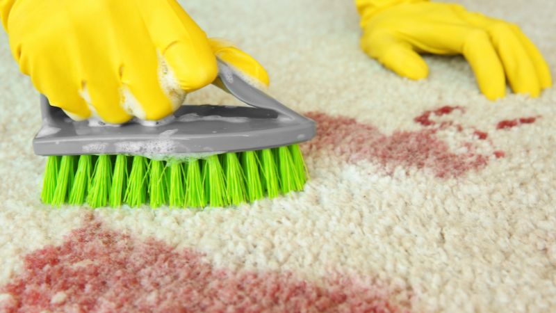 Blood clean up Blood clean up in Lindenhurst, New York