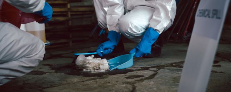 Biohazard Cleanup Biohazard Cleanup in Long Island, NY